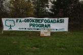 fa-örökbefogadás